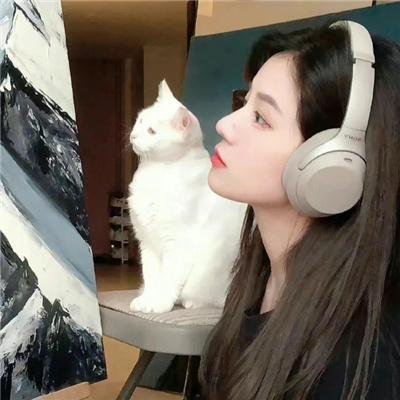 爱在猫咪疗愈时